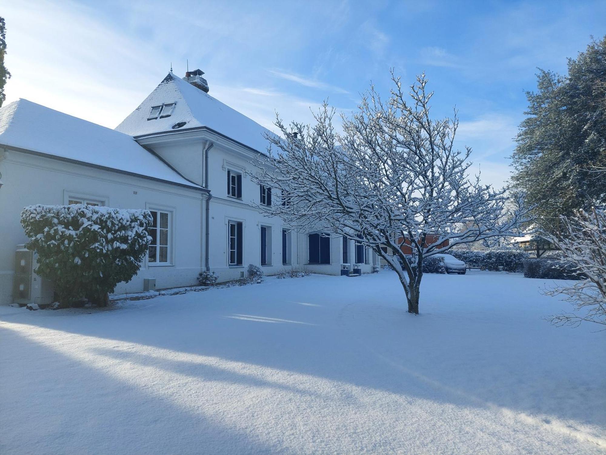 Bed and Breakfast Manoir De L'As De Trefle Isneauville Exterior foto